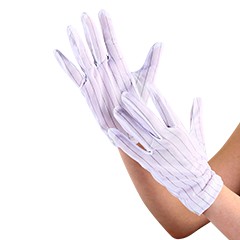 Anti-Static Lint-Free Glove