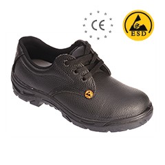 electrostatic dissipative shoes