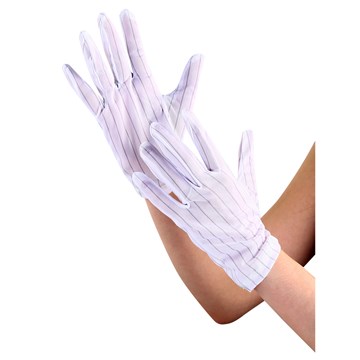 Anti-Static Lint Free Glove